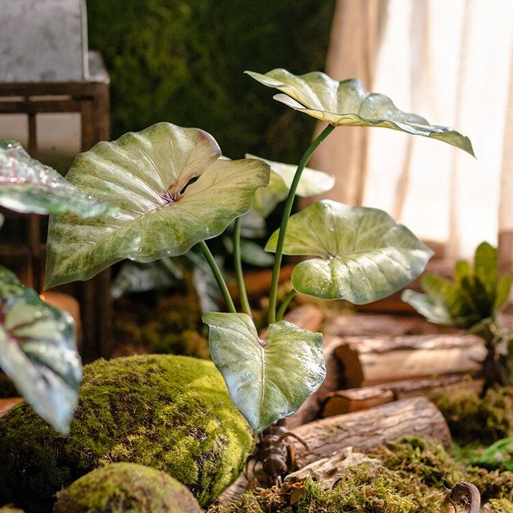 RusticReach Faux Rooted Bunch Alocasia 19" Tall