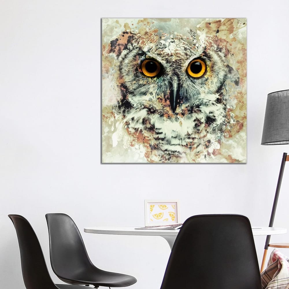 iCanvas "Owl II" by Riza Peker Canvas Print