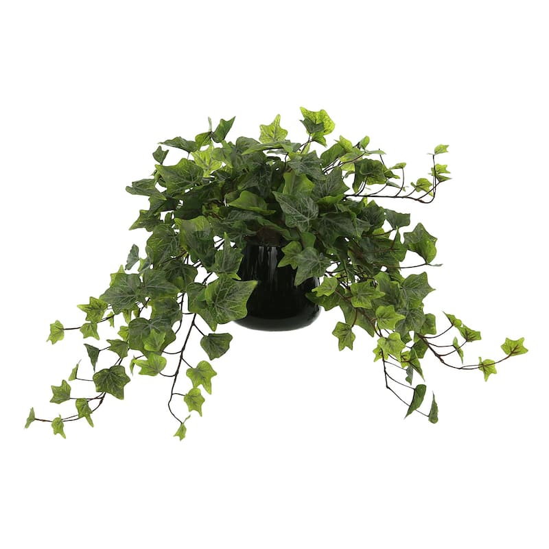 Ivy Arrangement in a Glass Vase - Green