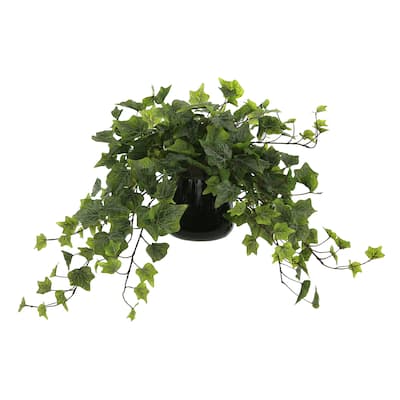 Ivy Arrangement in a Glass Vase - Green