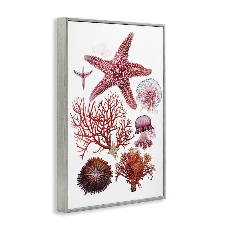 Stupell Rosy Undersea Creatures Framed Giclee Art Design By Ramona Murdock