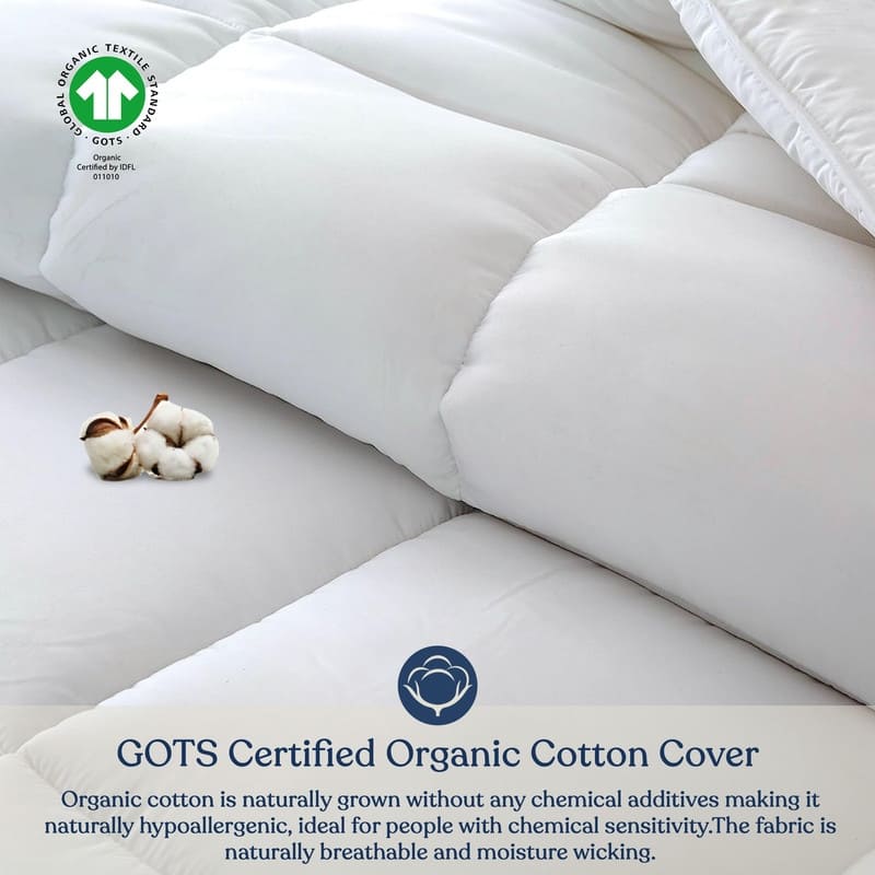Delara Duvet Insert Comforter 100% Organic Cotton Shell and Filled