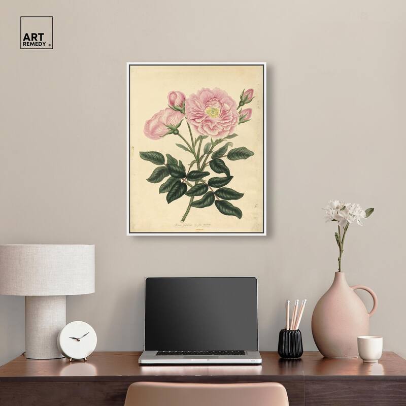 French Rose Canvas by Art Remedy