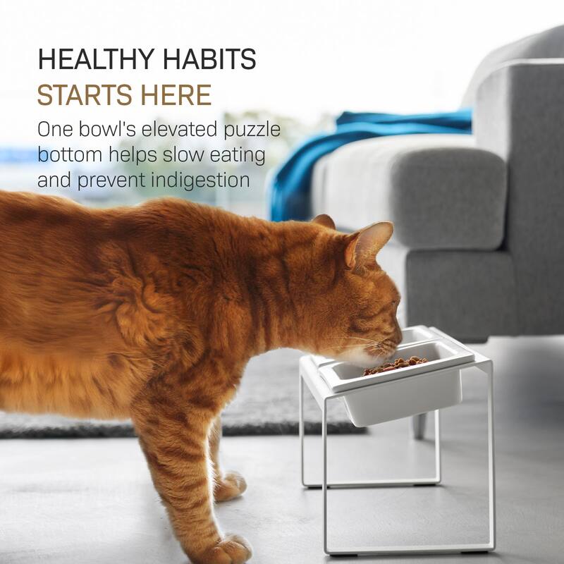 Yamazaki Home Slow Feeder Pet Bowl, Steel and Ceramic, 0.75 cups, 180 ml - L 6.1 x W 11.42 x H 6.93 inches