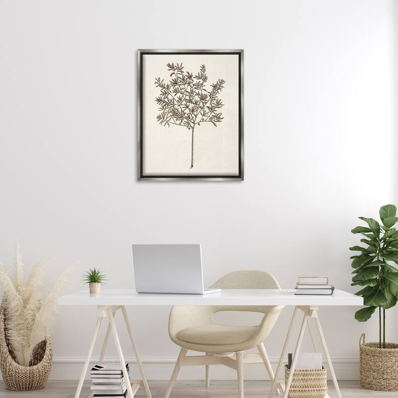 Stupell Vintage Study of Olive Tree Framed Floater Canvas Wall Art Design By Phillipa Katz