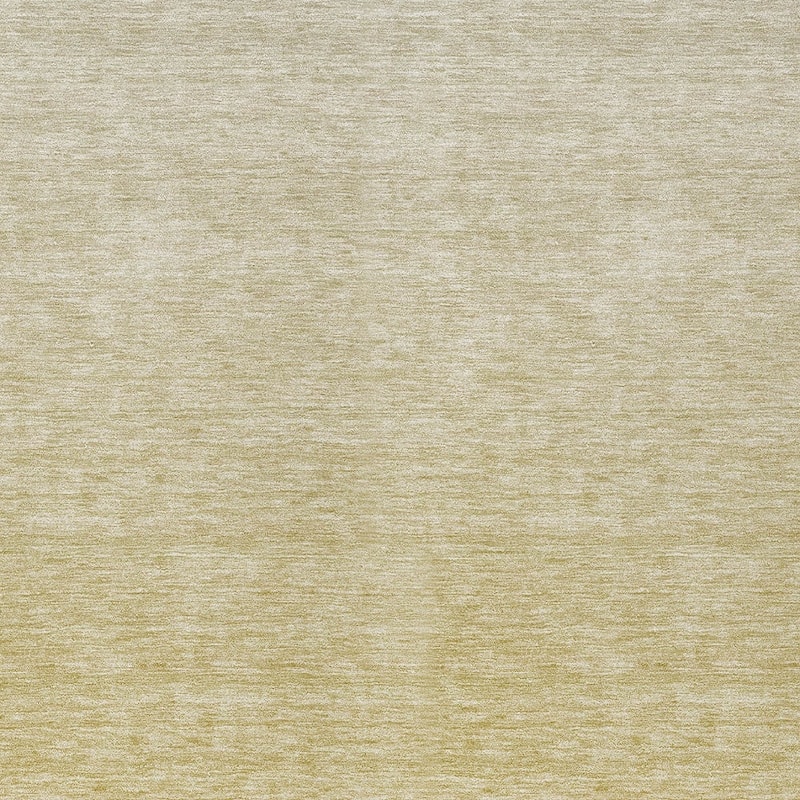 HomeRoots Ombre Transitional Rectangle Outdoor Rug