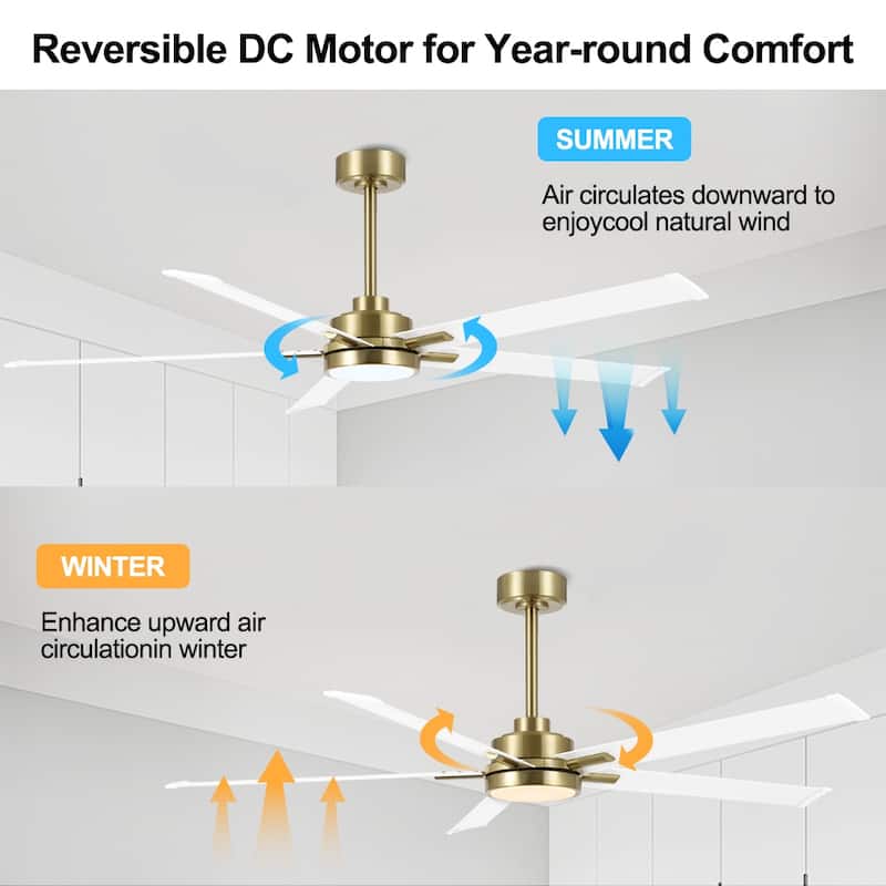 MLiAN 60 In. 5 Aluminium Blades Indoor LED Ceiling Fan with Remote, Smart Ceiling Fan - 60"