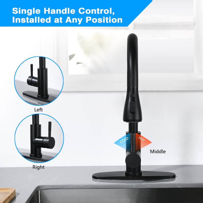 Single-Handle Pull-Down Sprayer Kitchen Faucet with Soap Dispenser