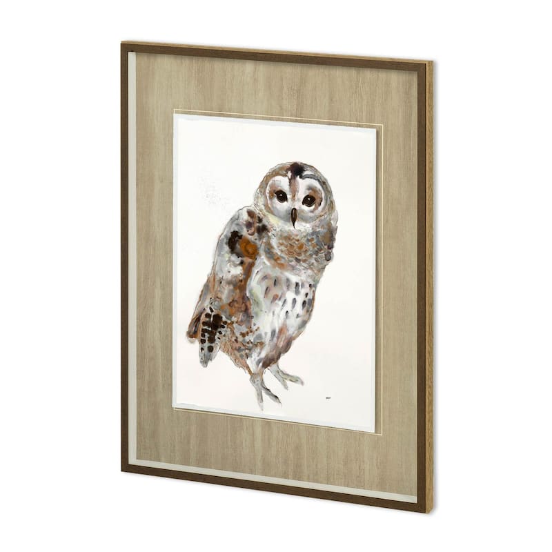 Owl II Framed Art Print