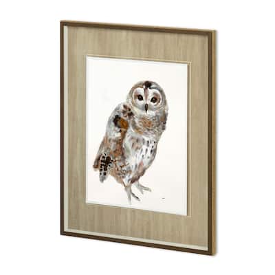 Owl II Framed Art Print