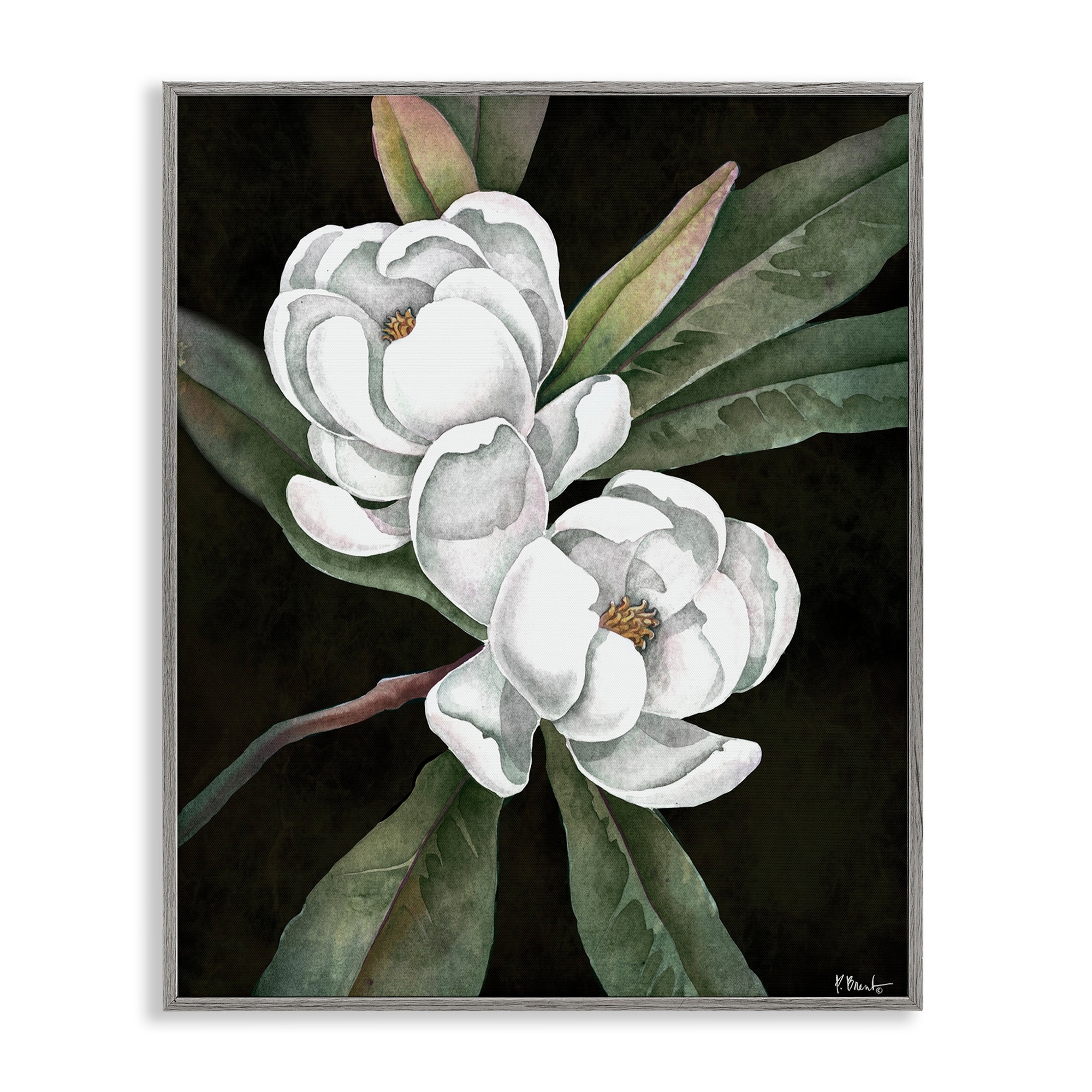 Stupell Vintage Bay Magnolia Framed Giclee Art Design By Paul Brent