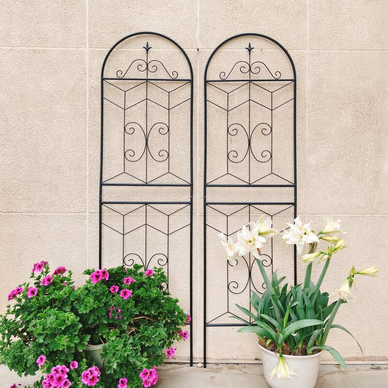 2 Pack Metal Garden Trellis 71" x 19.7" Rustproof Trellis for Climbing Plants Outdoor Flower Support