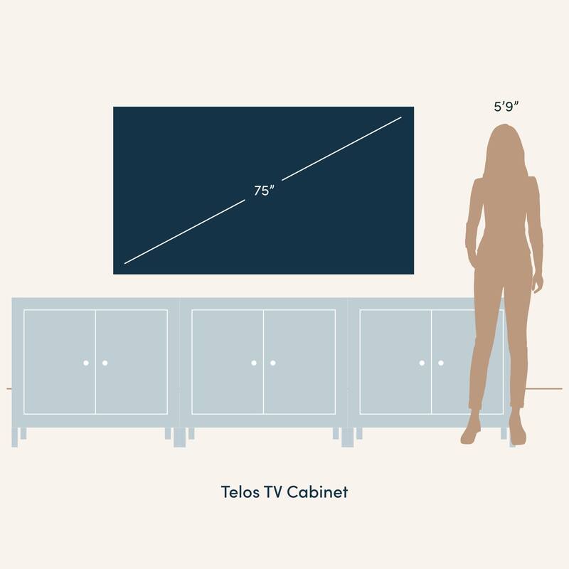 Telos 4-Cube Storage Organizer or TV Stand