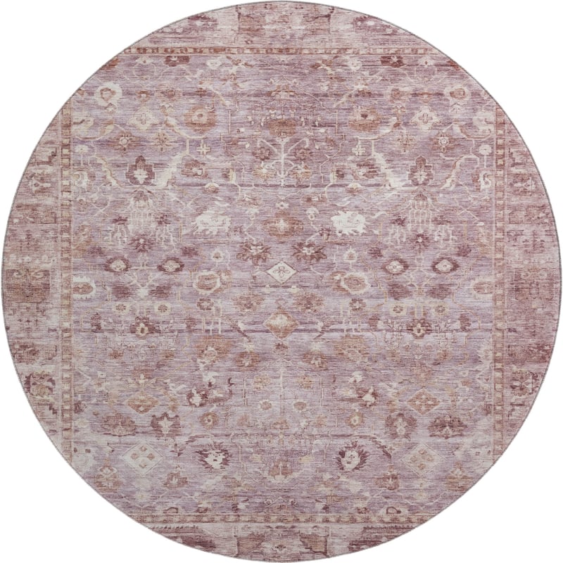 Premium Washable Super Soft Vintage Traditional Mayfield Rug