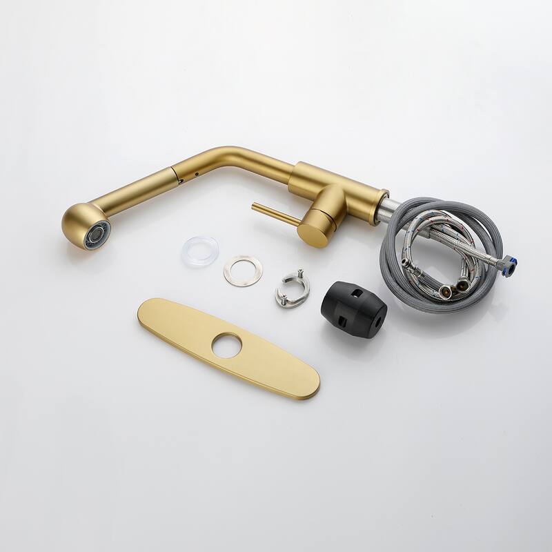Topcraft Kitchen Faucets with Pull Down & Pull Out Sprayer