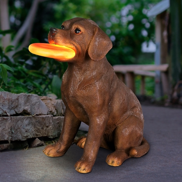 Exhart Solar Chocolate Labrador Retriever Dog with LED Frisbee