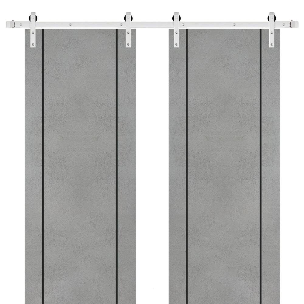 Sturdy Double Barn Door 36 x 80 with Planum 0016 Concrete with 13FT