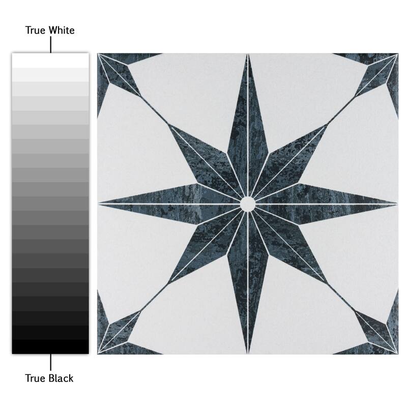 Merola Tile Cassis Stella Black 9-3/4" x 9-3/4" Porcelain Floor and Wall Tile
