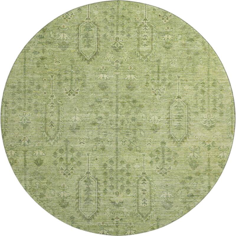 Premium Washable Super Soft Vintage Global Mayfield Rug