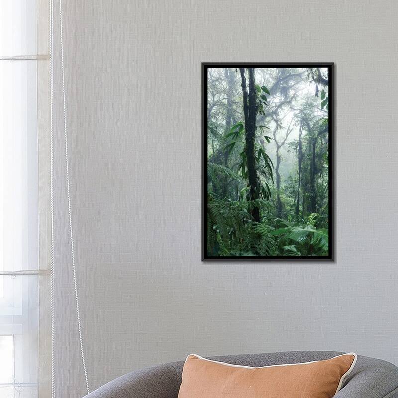 iCanvas "Monteverde Cloud Forest, Costa Rica" by Matteo Colombo Framed Canvas Print