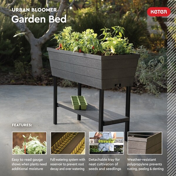 Image of Keter Raised Garden Bed with Dividers