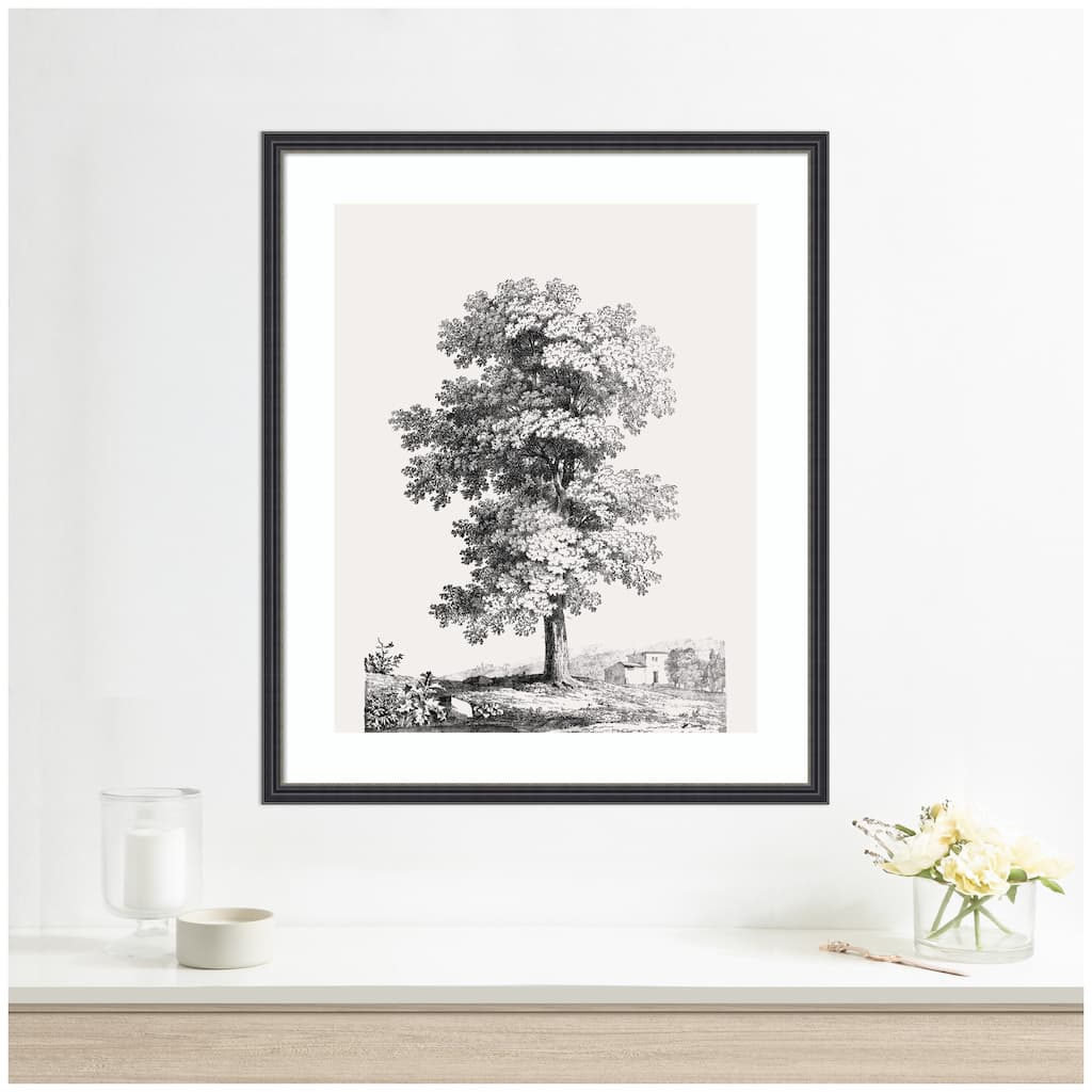 Kate and Laurel Framed Art Jean Victor Bertin Study of a Tree 1816 by The Art Institute of Chicago