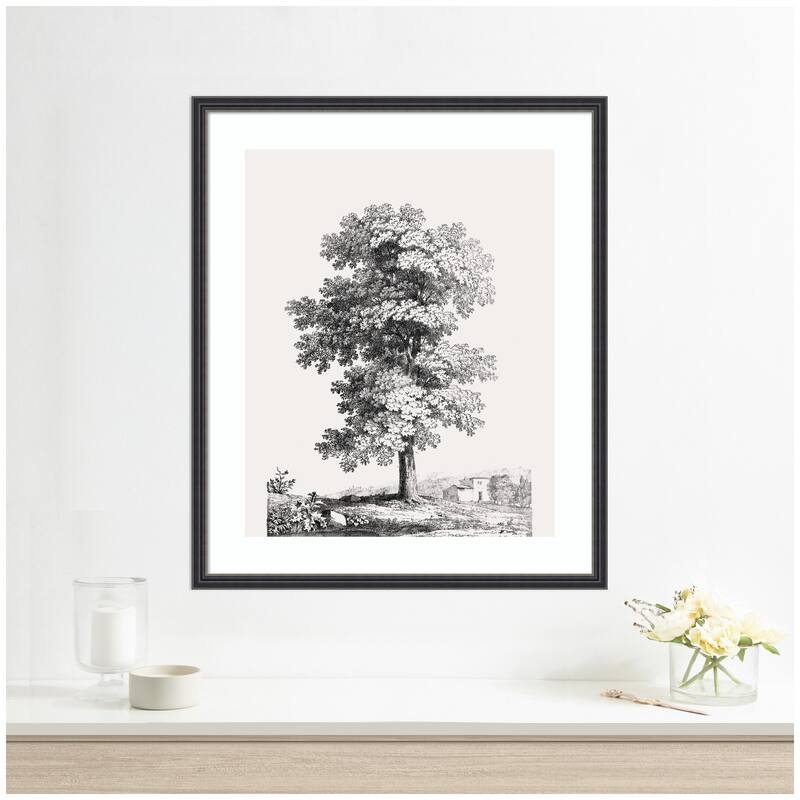 Kate and Laurel Framed Art Jean Victor Bertin Study of a Tree 1816 by The Art Institute of Chicago