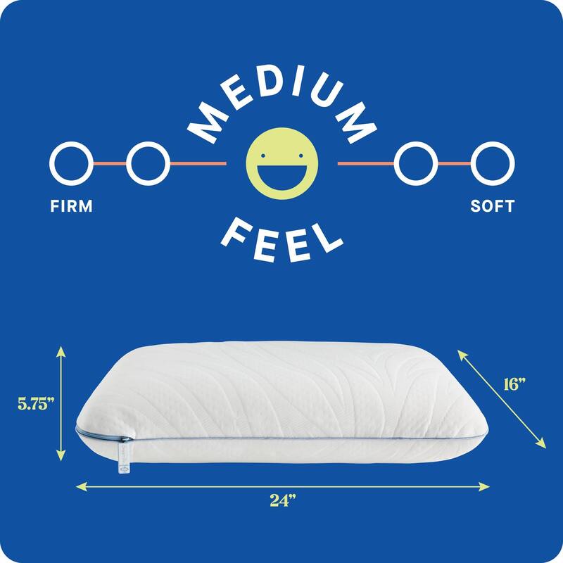 Sealy Dreamlife Performance Foam Pillow, Standard