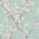 Option Light Blue