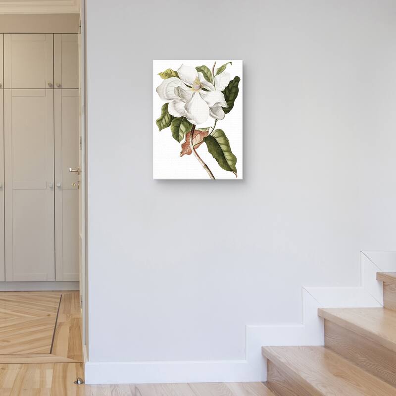 Southern Magnolia Crop Lite Canvas Art Print