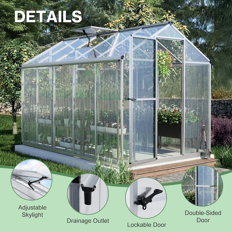 Aoodor 6' x 10' Polycarbonate Walk-in Greenhouse with Aluminum Frame and Roof Vent