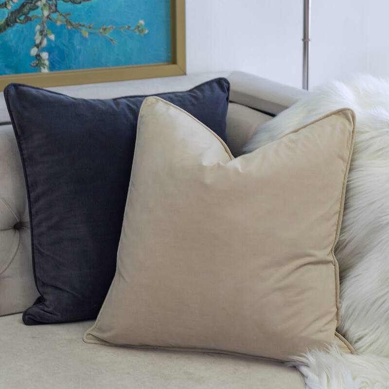 Elisa Velvet 20" Square Decorative Throw Pillow 2PK