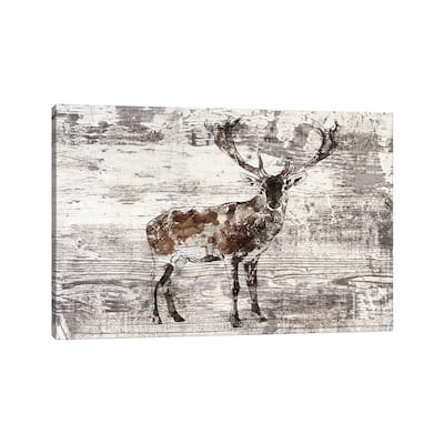 iCanvas "Rustic Deer II" by Irena Orlov Canvas Print