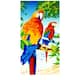 Option Parrot