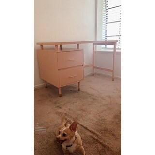 Top Product Reviews For Simple Living Margo 2 Drawer Mid Century Modern Desk 29928485 Overstock