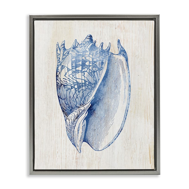 Stupell Nautical Soft Blue Conch Framed Floater Canvas Wall Art Design By Susan Arnot - 17 x 21 - Grey