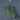 Loveren  32.5" Eucalyptus and Fir Artificial Teardrop Wreath by Christopher Knight Home