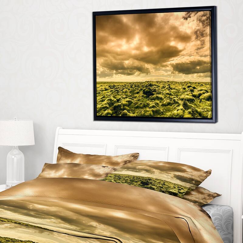 Designart "Beautiful View of Sky and Moss" Large Landscape Framed