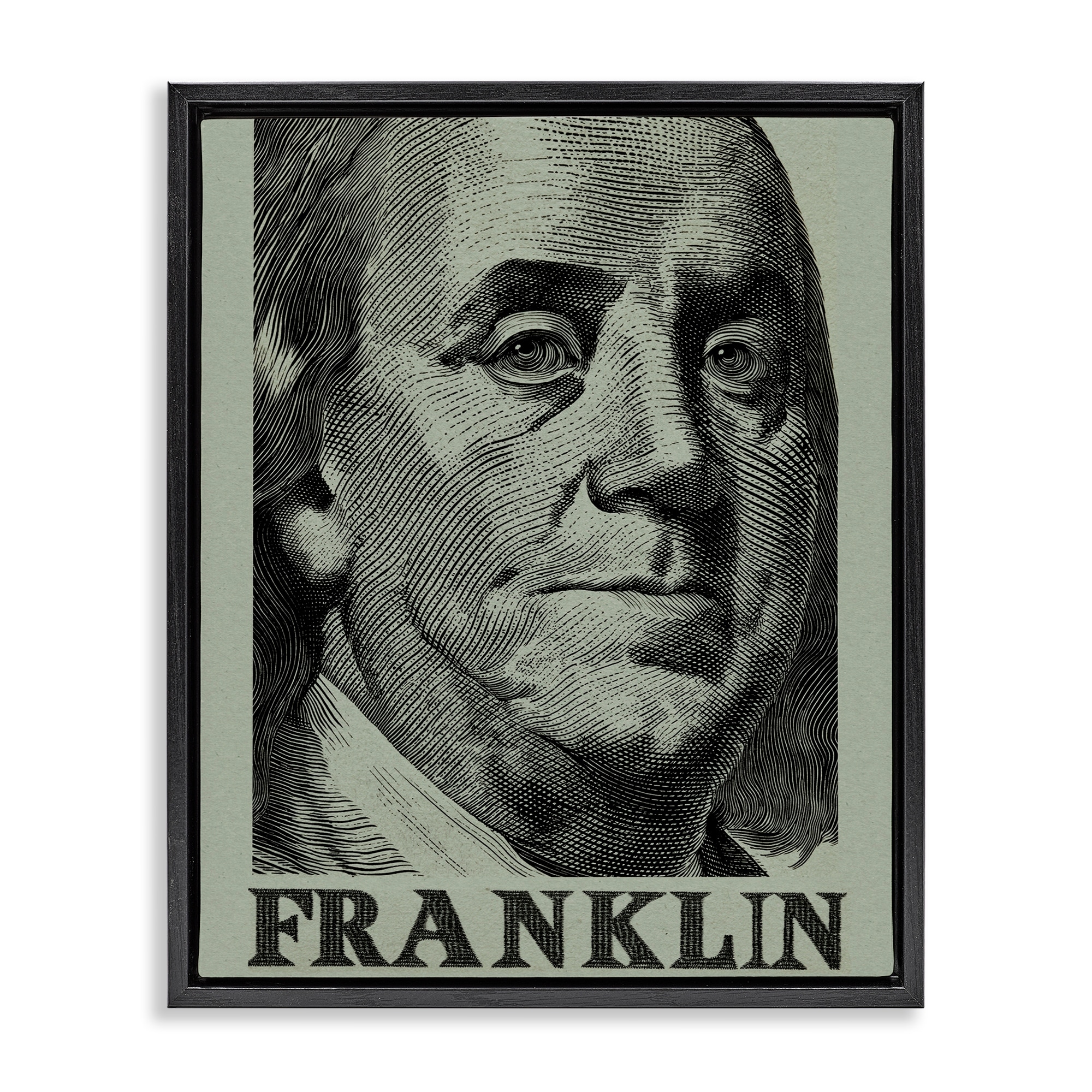 Stupell Franklin's Influence Portrait Framed Floater Canvas Wall Art Design By Svetlana Aleynikova