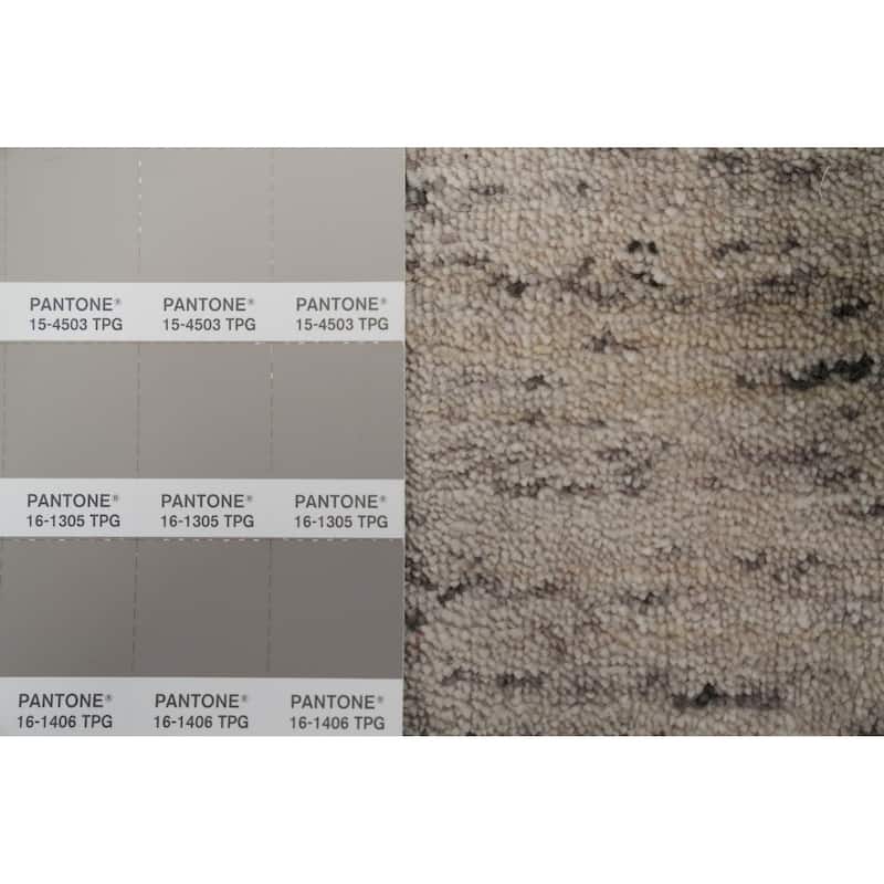 Hand Knotted Oriental 100% Wool Carpet Tribal Animal Pictorial Beige & Ivories Gabbeh Area Rug - 11' 10'' X 5' 1''