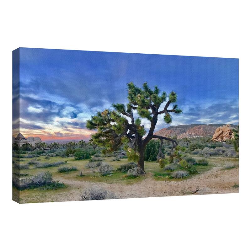 Joshua Tree Moment by James Carol Canvas Art Print