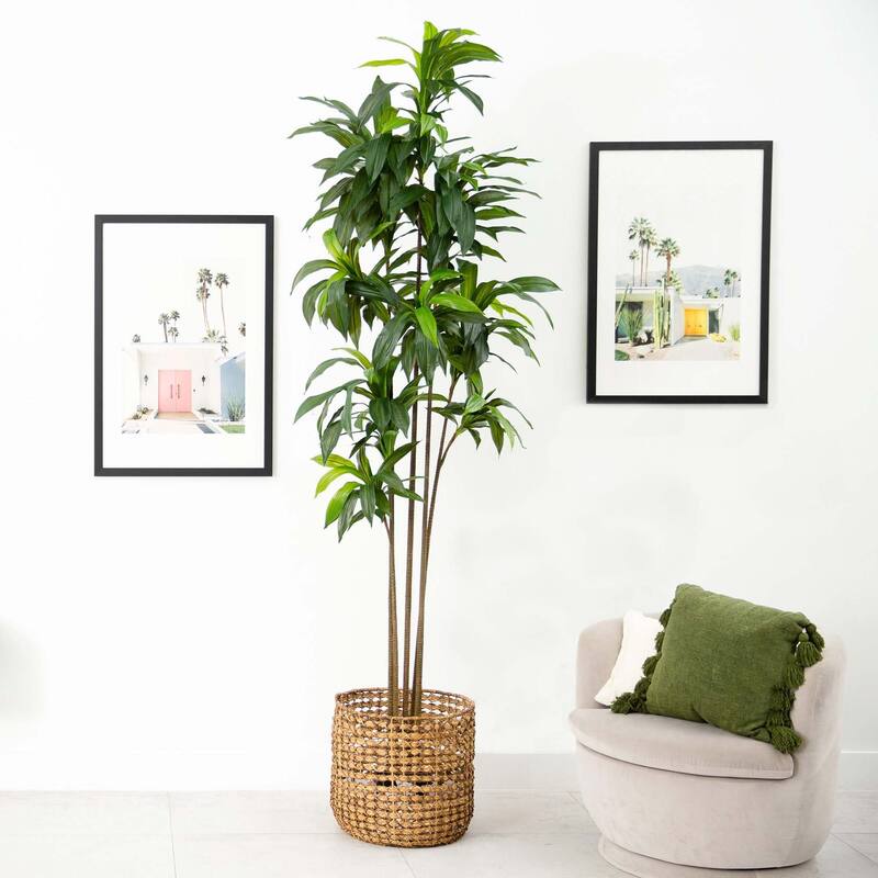 Artificial Potted Dracaena Tree - 10' - Green