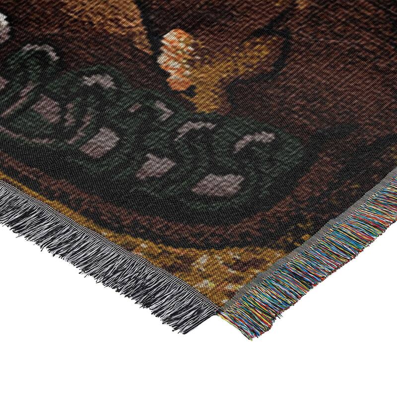 MLB Woven Tapestry Throw Blanket