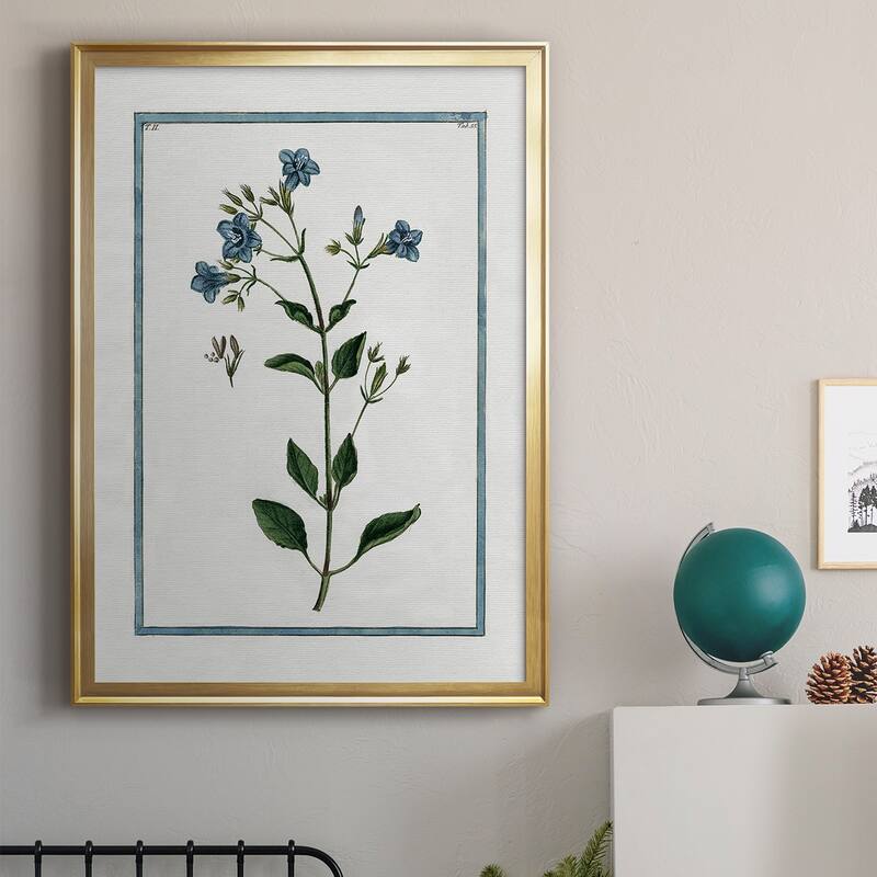 Shabby Chic Botanical II Premium Framed Print - Ready to Hang