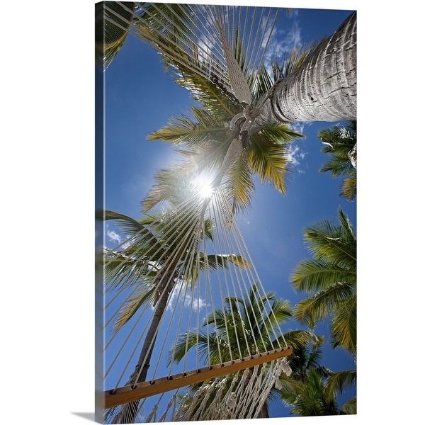 "Upward view through hammocks and palms, White Bay" Canvas Wall Art