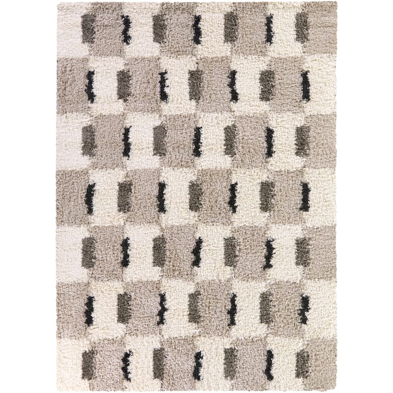 Hammes Checkered Shag Area Rug