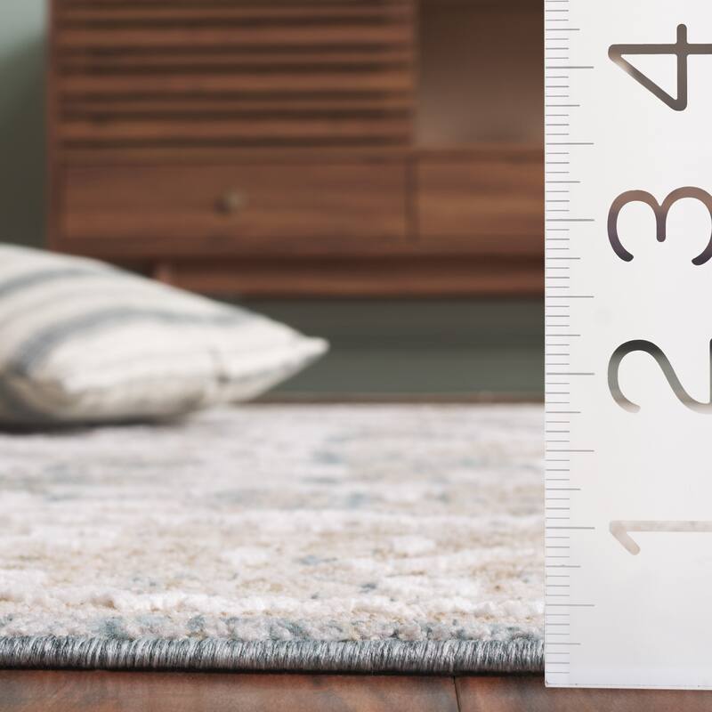SAFAVIEH Finley Ceyda Traditional Oriental Rug