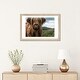 preview thumbnail 16 of 18, iCanvas "Portrait Of A Young Scottish Wooly Highland Cattle" by Michael Schauer PFA