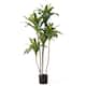 Option 1-Piece Faux Dracaena
