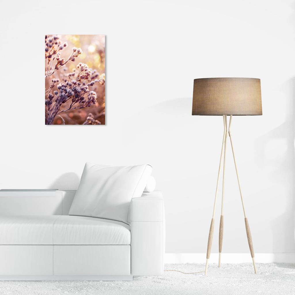Wynwood Studio Canvas Floral and Botanical Natural Dry Flowers White and Modern & Contemporary Wall Art Canvas Print